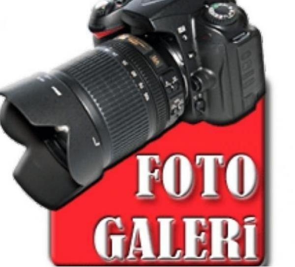 Ankara Brillant Perde